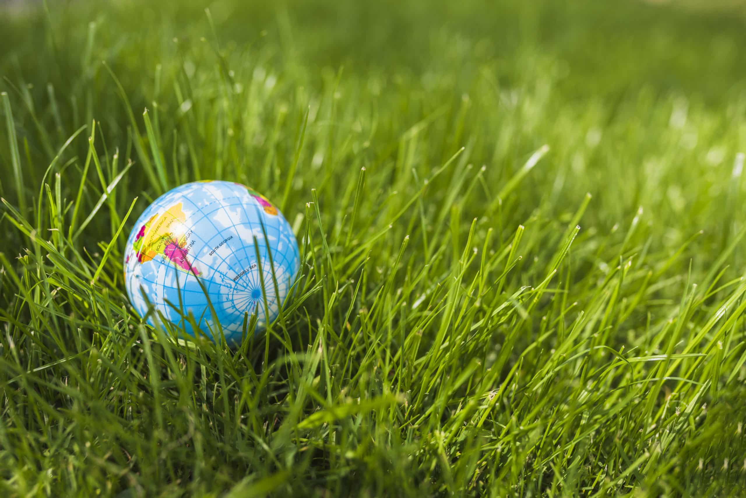 close-up-globe-ball-green-grass